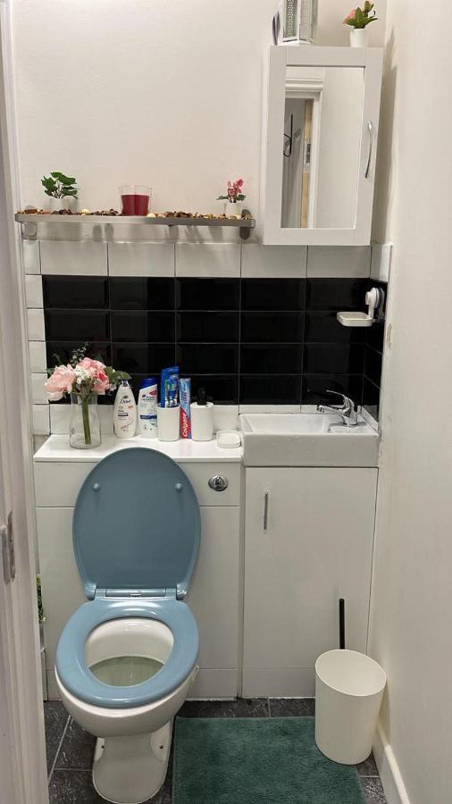 Lovely Apartment Close To Acton Central Station London Luaran gambar